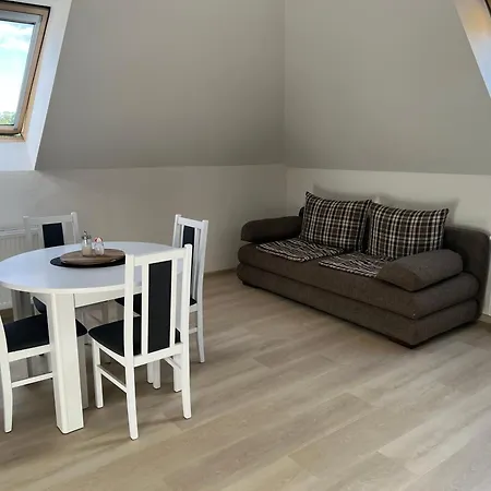 Podkrovni Se Spolecnym Bazenem * Zlonice