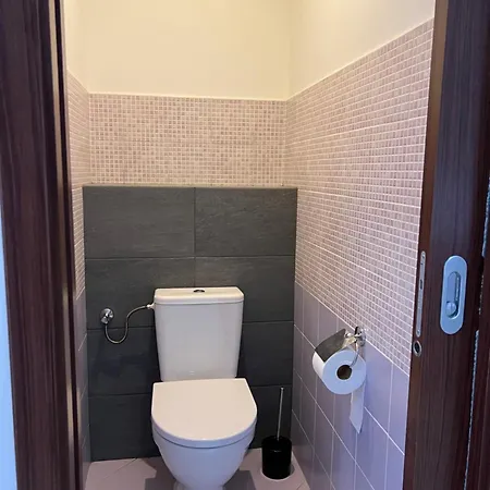 Podkrovní Se Společným Bazénem Apartmán