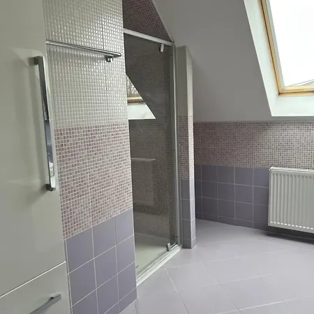 Podkrovní Se Společným Bazénem Zlonice