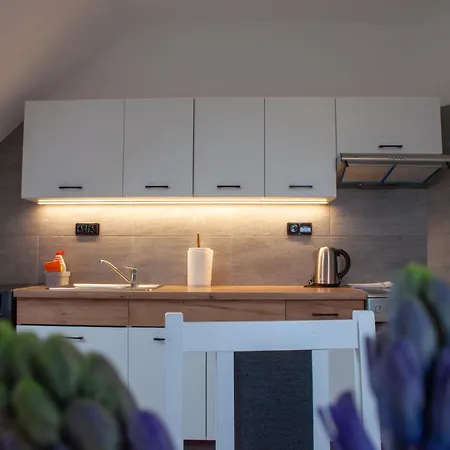 Podkrovní Se Společným Bazénem Appartement Zlonice