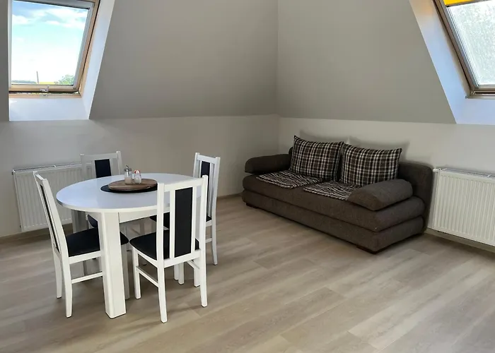 Podkrovni Se Spolecnym Bazenem * Zlonice