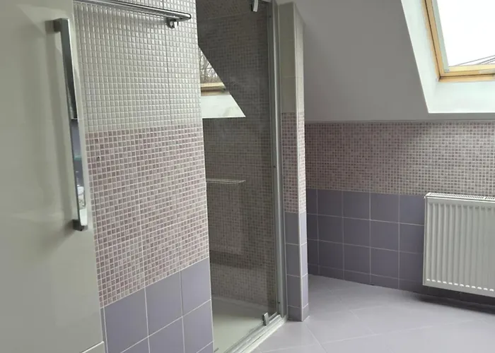 Podkrovni Se Spolecnym Bazenem Zlonice