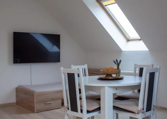 Podkrovni Se Spolecnym Bazenem * Zlonice